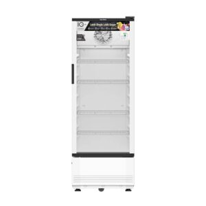 Polytron Showcase SCN 220